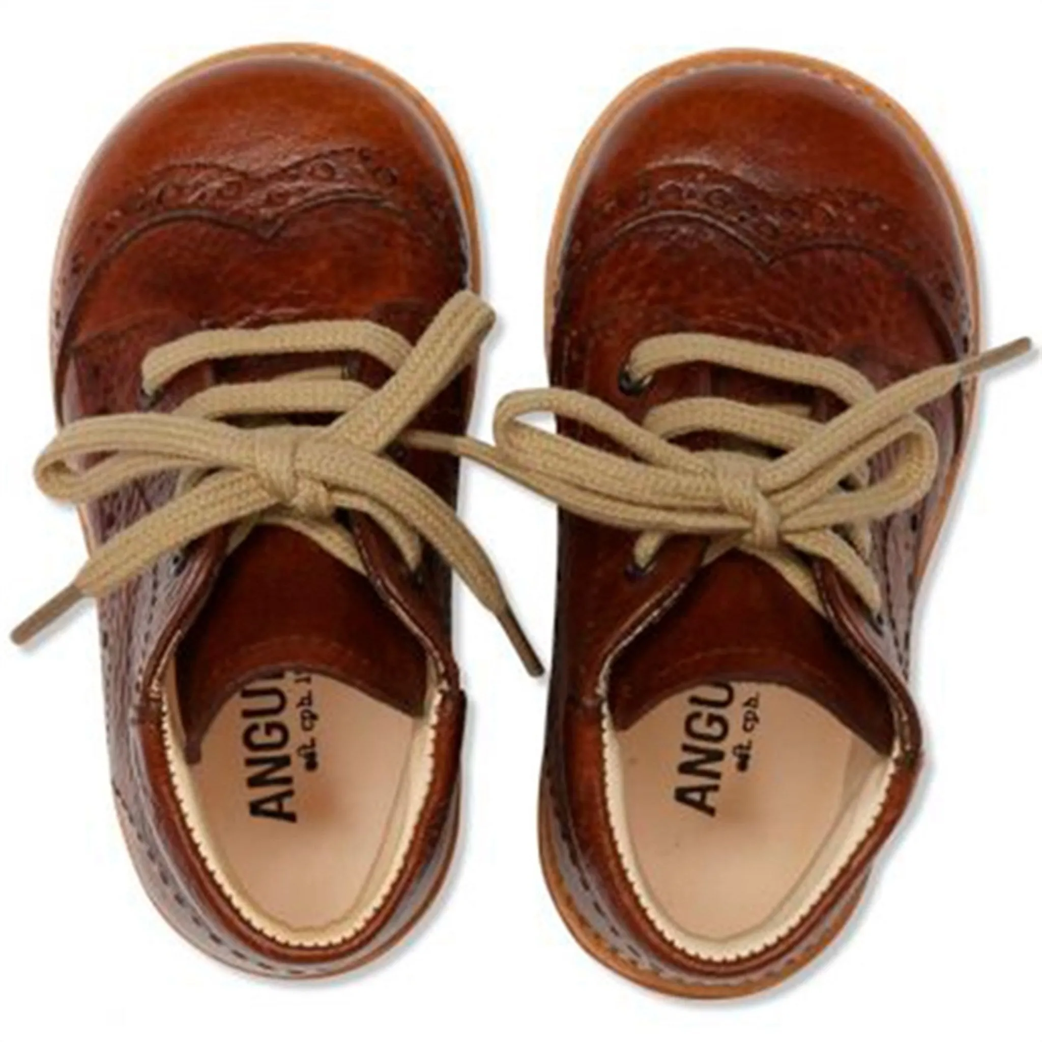 Angulus Starter Shoe With Lace Cognac