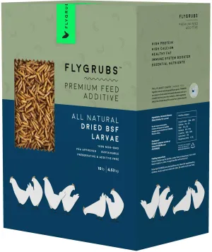 Black Solider Fly Larvae Treats for Hens Ducks Wild Birds | Dried Mealworms (10 Lb)