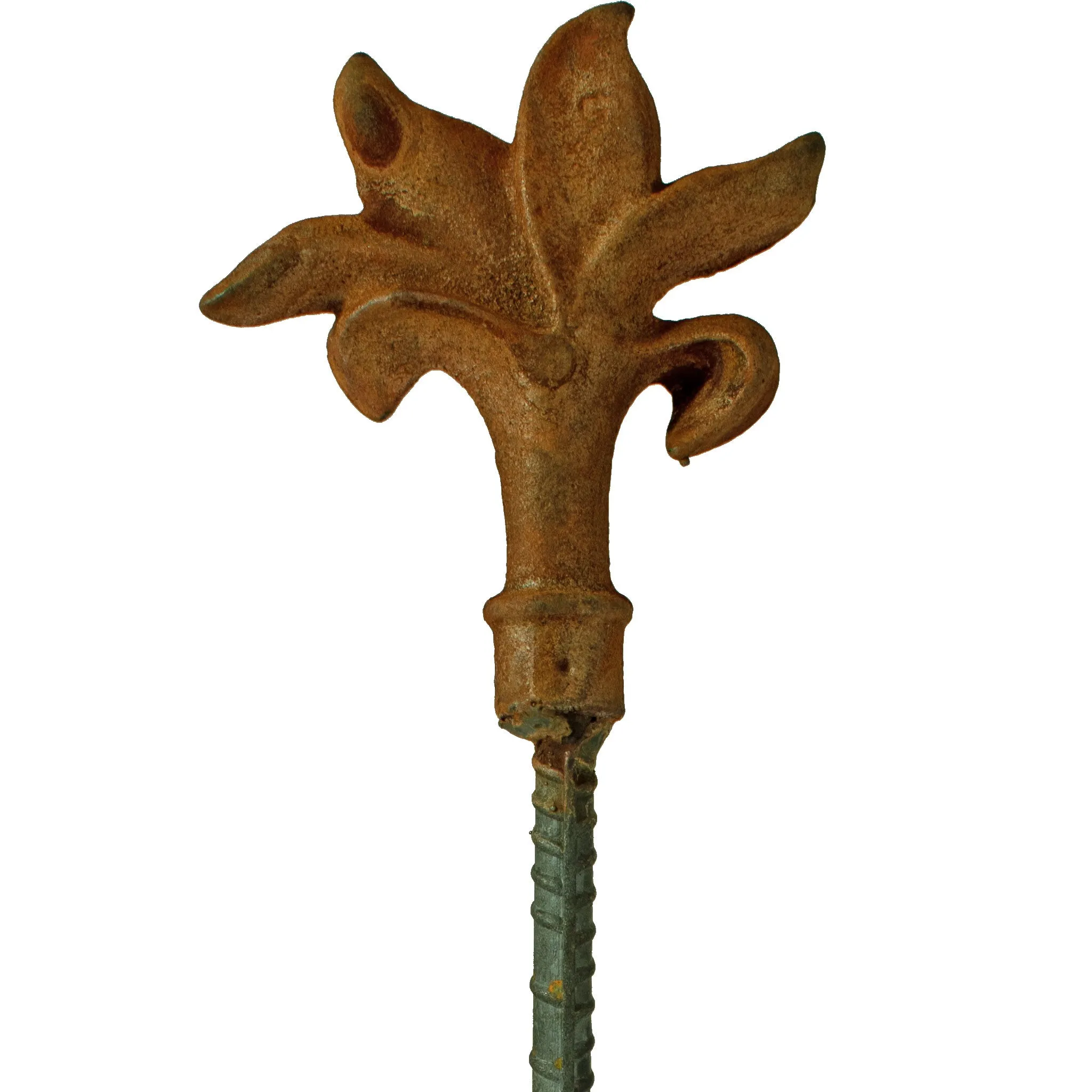 Fleur-De-Lis Garden Hose Stake Guides