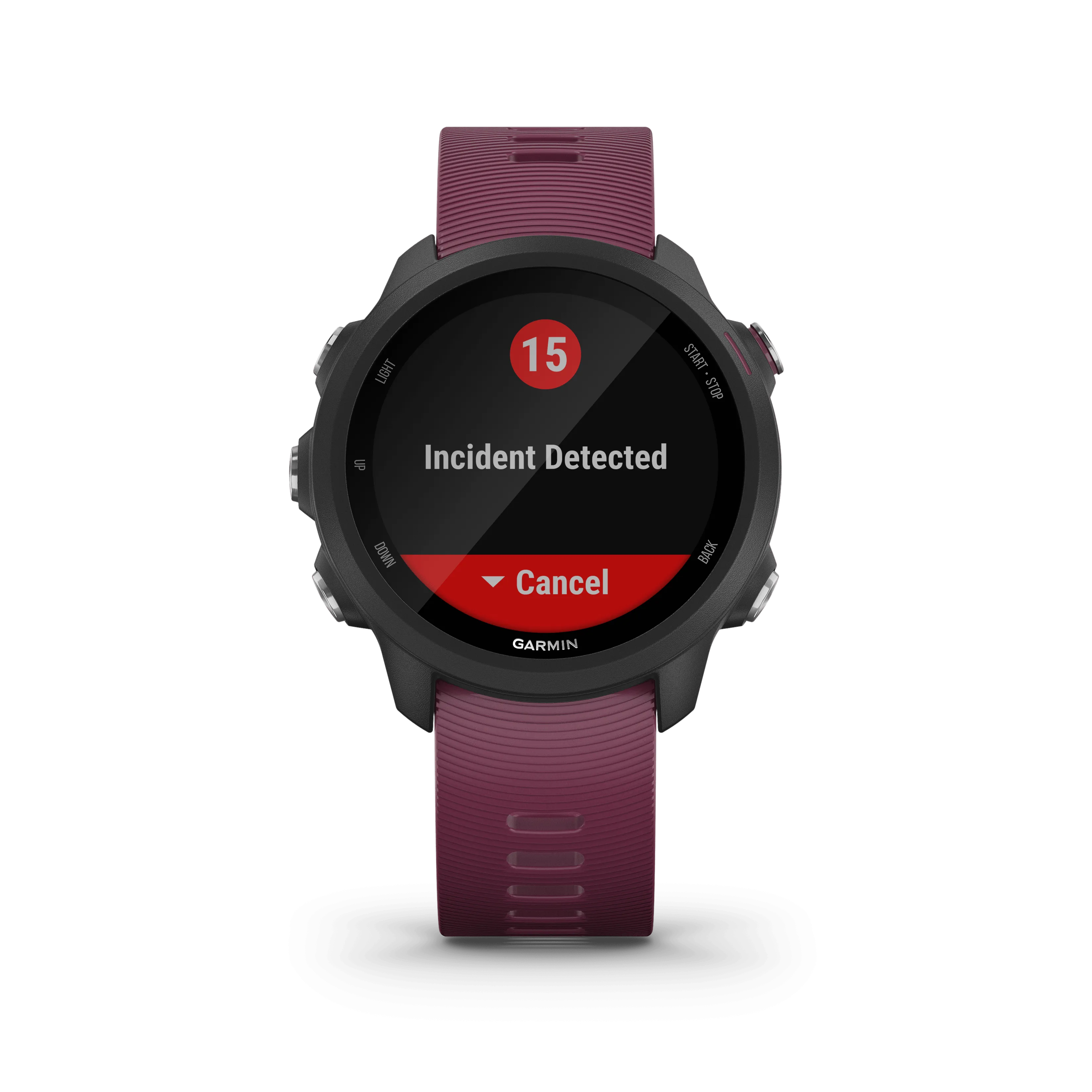 Garmin Forerunner 245 GPS Running Smartwatch