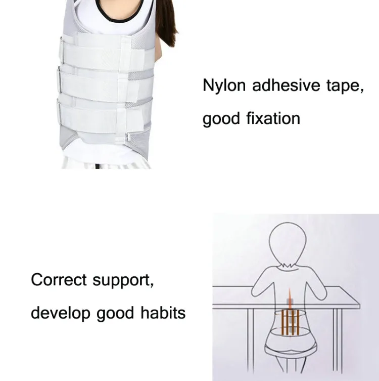 Mesh Style Thoracolumbar Fixation Belt Strap Type Protective Gear Without Airbag, Specification: M